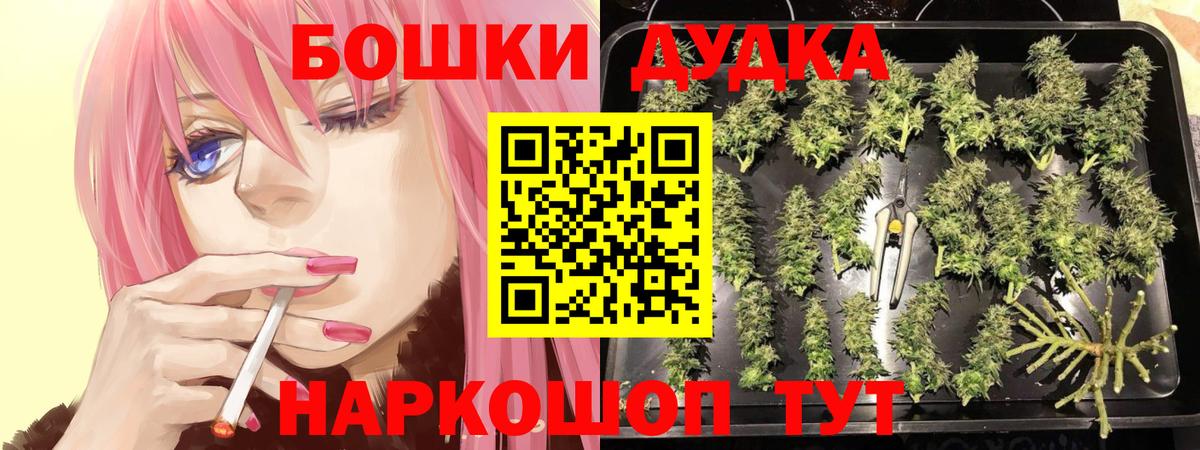 Канабис сатива Курчатов